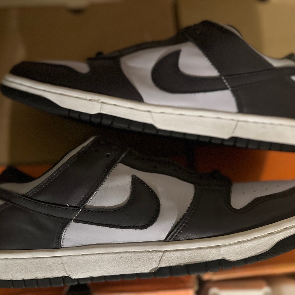 Women’s Nike dunk pro low 302517-452